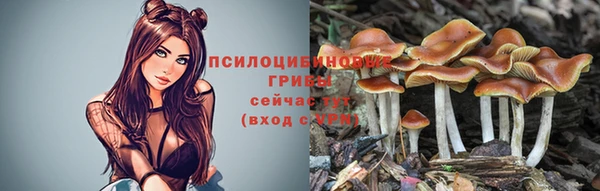 дмт Алексин