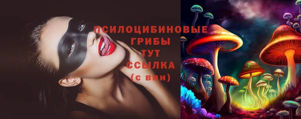 PSILOCYBIN Алзамай