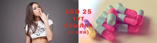 PSILOCYBIN Алзамай