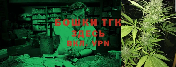 PSILOCYBIN Алзамай
