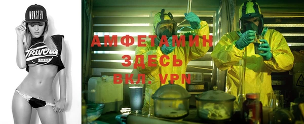 PSILOCYBIN Алзамай
