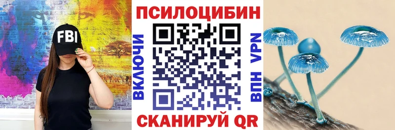 ссылка на мегу как зайти  наркота  Алексеевка  Псилоцибиновые грибы Psilocybine cubensis 